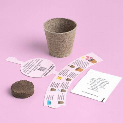 Kit de culture premières récoltes - Basilic - Image 4