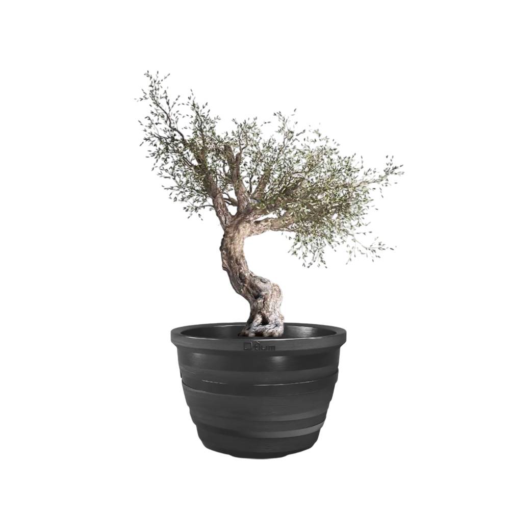 Pot de fleurs lignum 55 - Image 3
