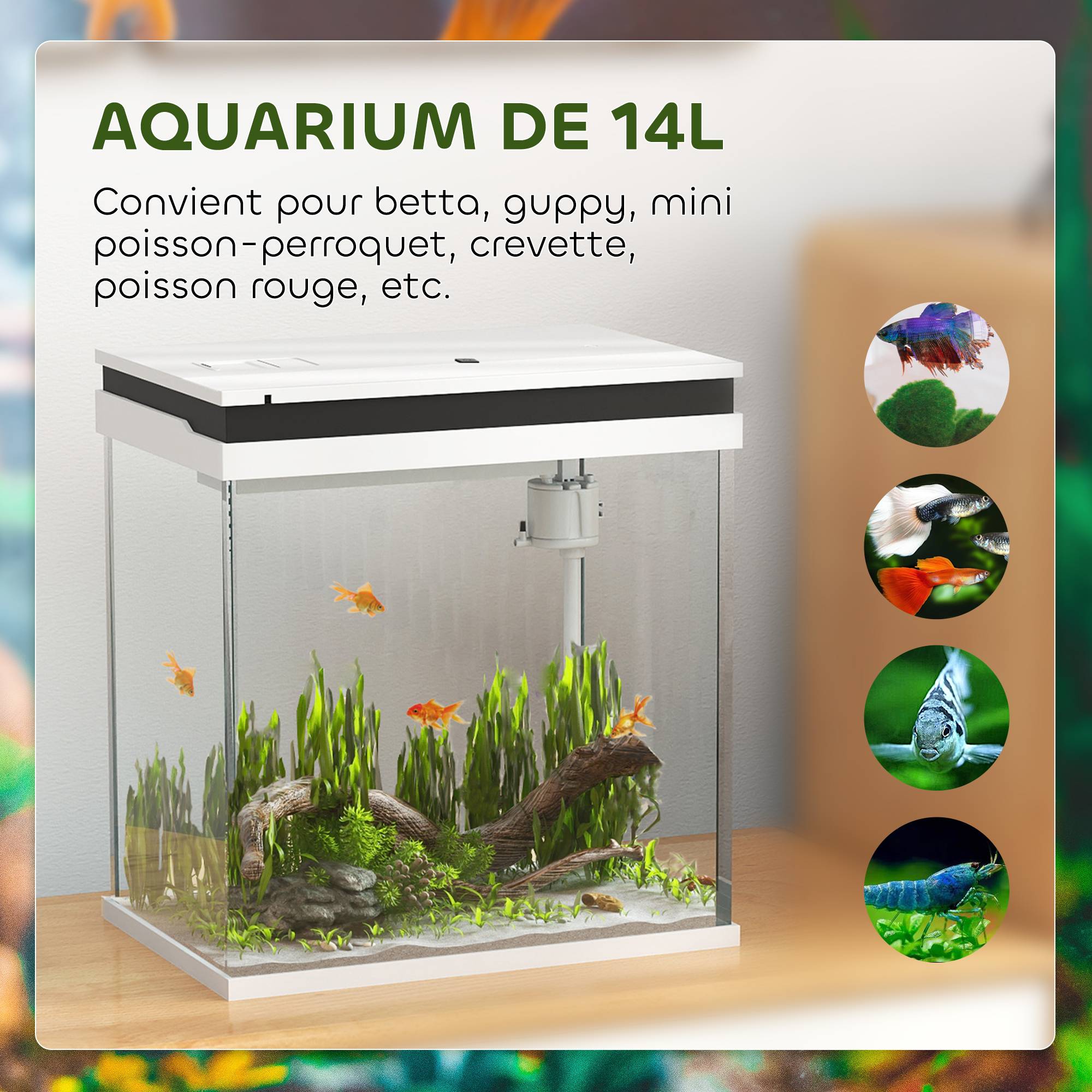 Sans Marque - Petit aquarium complet 14L aquarium en verre avec système de filtration éclairage LED pompe à eau 30 x 20 x 33 cm blanc - Image 7