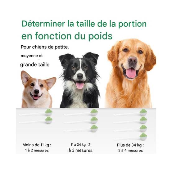 IntiMeg - Poudre pour nettoyer les dents des animaux de compagnie IntiMeg - Image 4