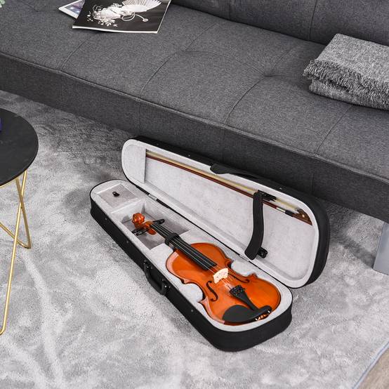 Violon 4/4 pleine grandeur avec étui, accordeur, épaulière, archet, colophane, cordes rechange et chiffon contreplaqué épicéa et érable - Image 3
