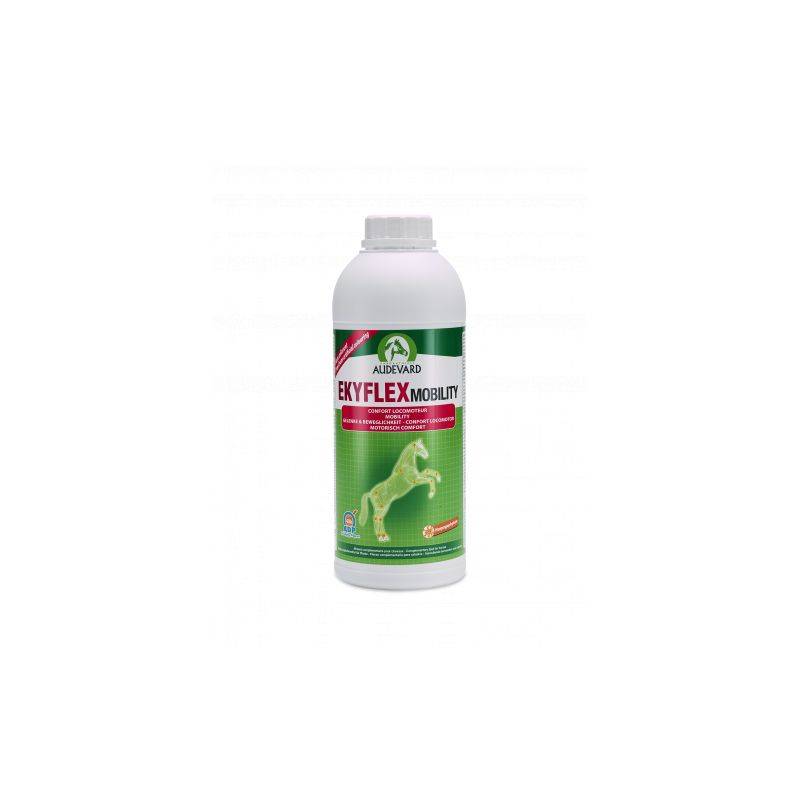 EKYFLEX MOBILITY - AUDEVARD 1 l - Image 1