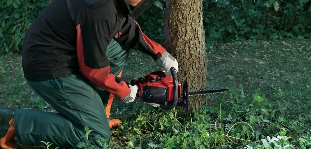 Einhell - Tronçonneuse thermique GC-PC 2040 I Einhell - Image 3