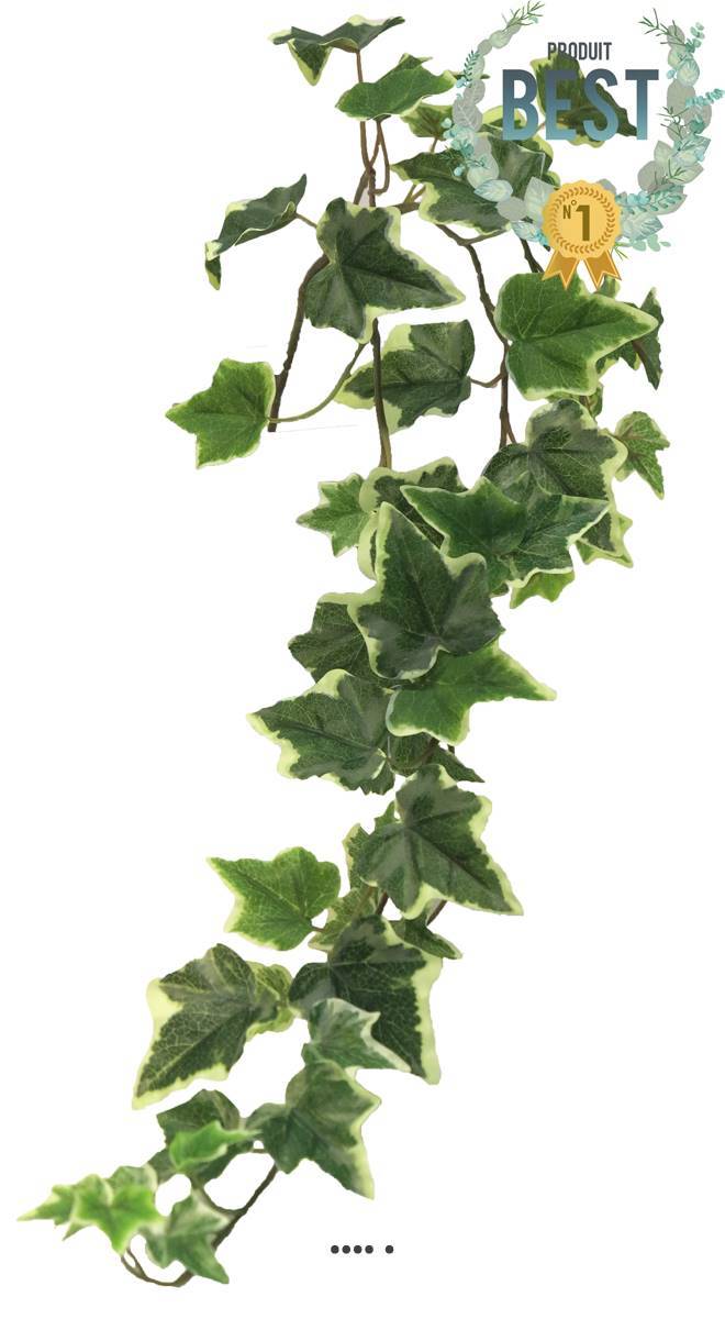 Lierre artificiel en chutes, 3 ramures, L 80 cm Panaché - BEST - couleur: Blanc-vert - Image 1