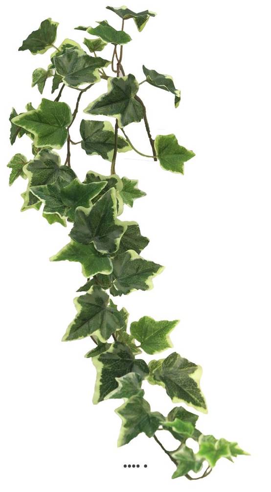 Lierre artificiel en chutes, 3 ramures, L 80 cm Panaché - BEST - couleur: Blanc-vert - Image 3
