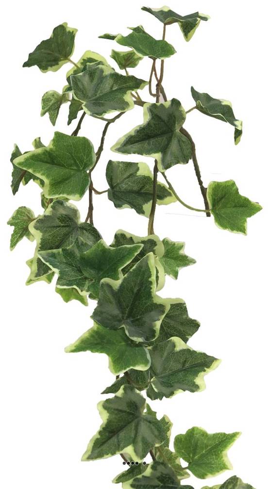 Lierre artificiel en chutes, 3 ramures, L 80 cm Panaché - BEST - couleur: Blanc-vert - Image 4