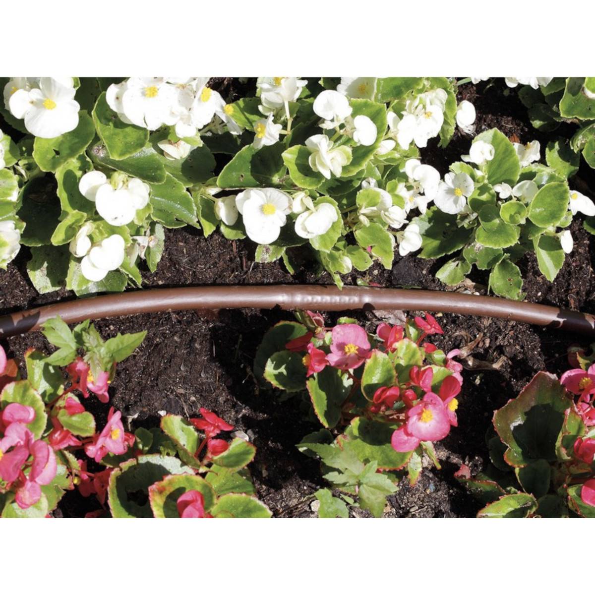 Claber - Tuyau d'arrosage goutte à goutte - 16 mm - espacement de 33 cm - marron 90356 Claber - Image 2