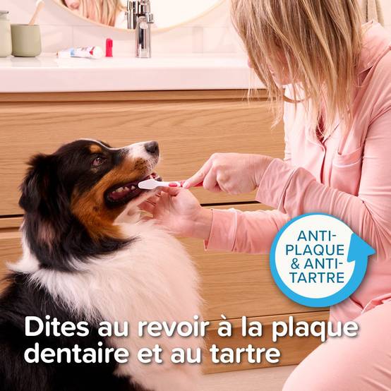 Pack Pâte dentifrice et brosse à dents Beaphar BEAPHAR - Image 8