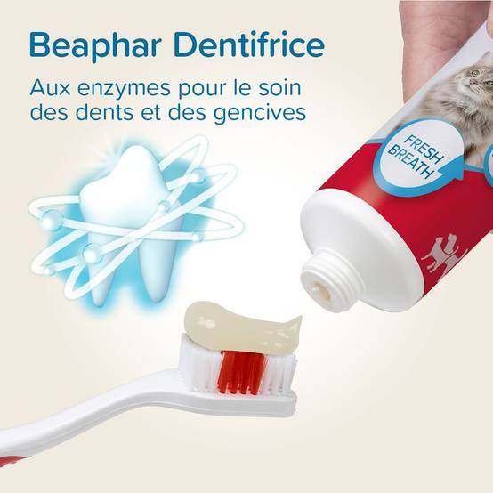 Pack Pâte dentifrice et brosse à dents Beaphar BEAPHAR - Image 9