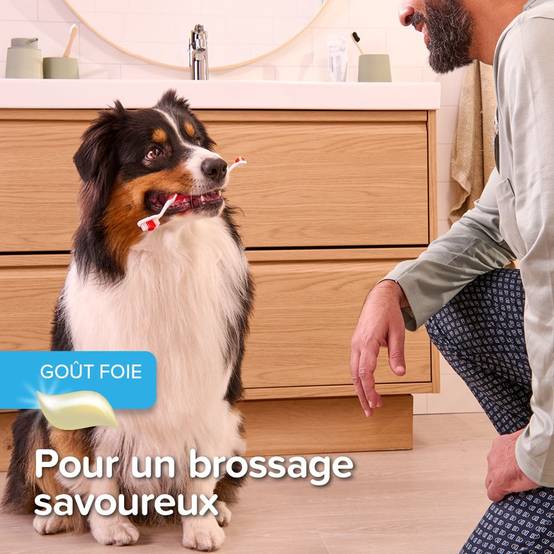 Pack Pâte dentifrice et brosse à dents Beaphar BEAPHAR - Image 6
