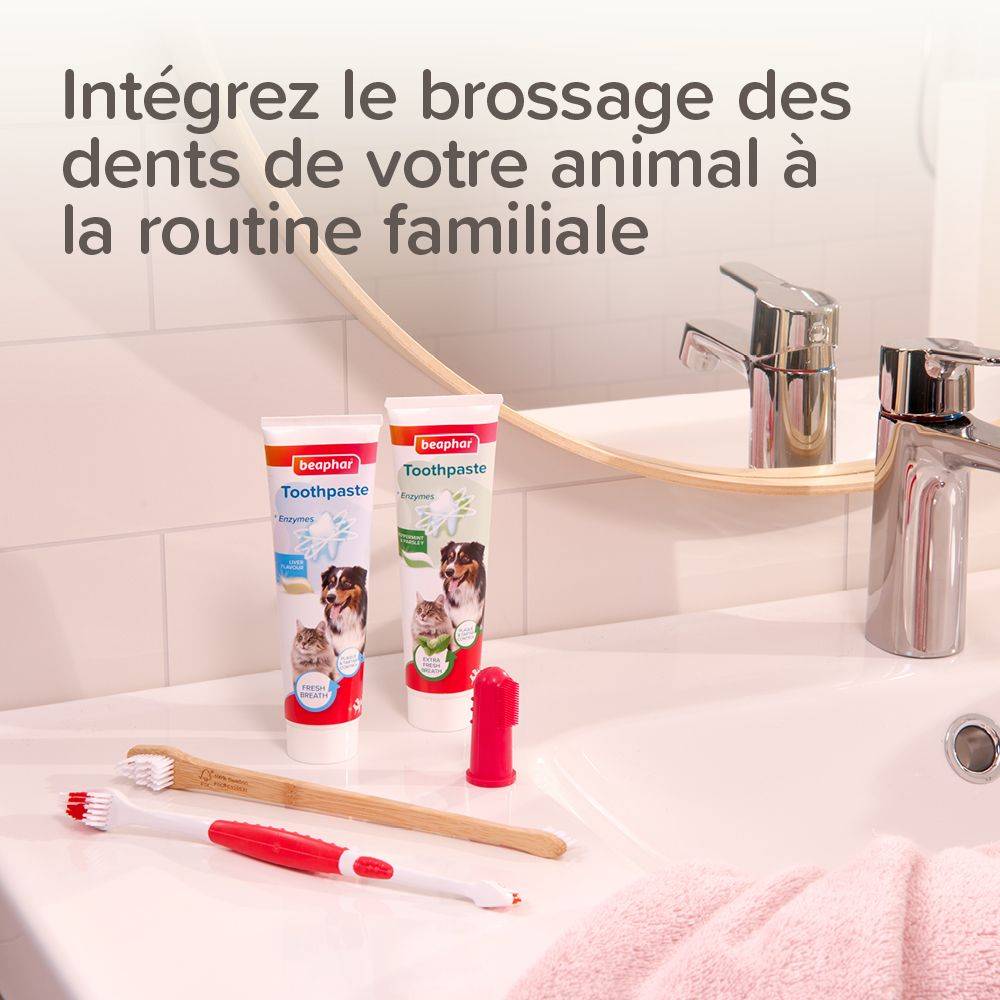 Pack Pâte dentifrice et brosse à dents Beaphar BEAPHAR - Image 5
