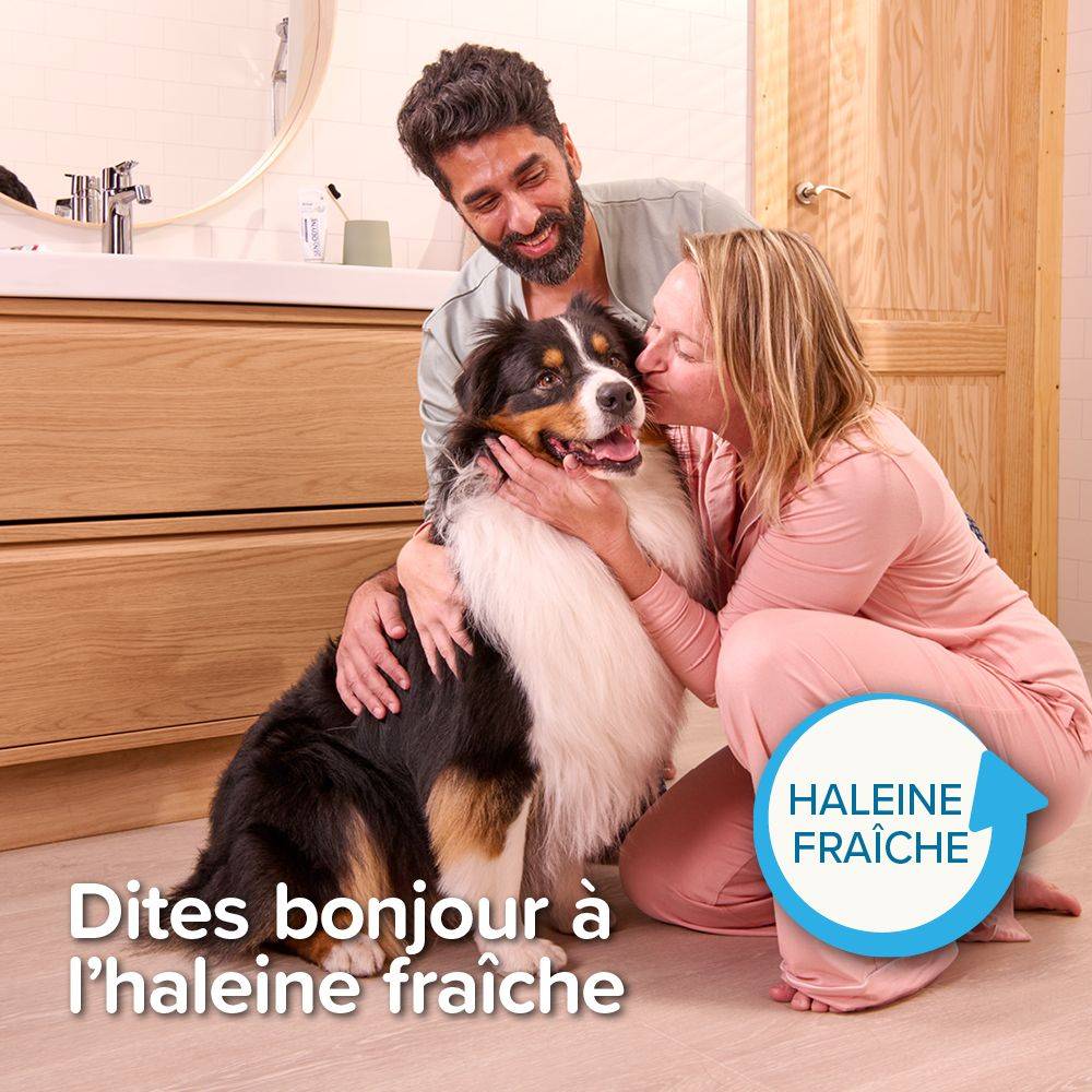 Pack Pâte dentifrice et brosse à dents Beaphar BEAPHAR - Image 7