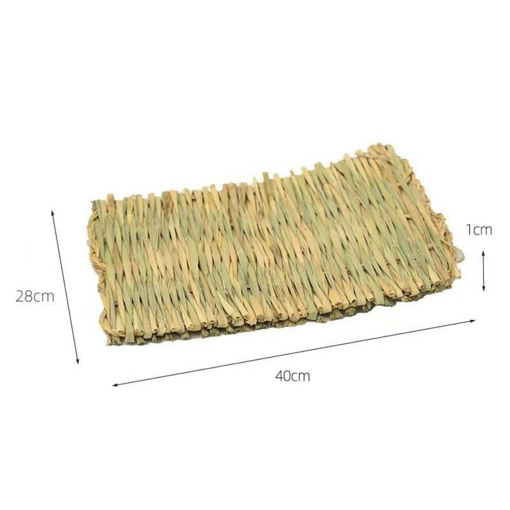 DtopbuyAge - Tapis d'herbe pour lapin, hamster, cochon, perroquet DtopbuyAge - Image 5