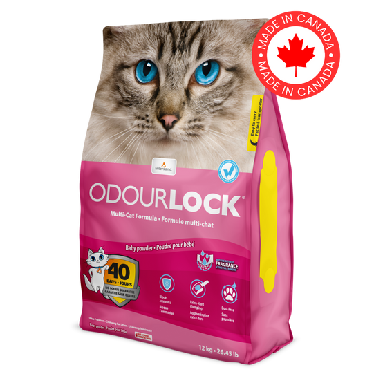 Intersand - Litière pour chat agglomérante 12 kg argile bentonite - INTERSAND