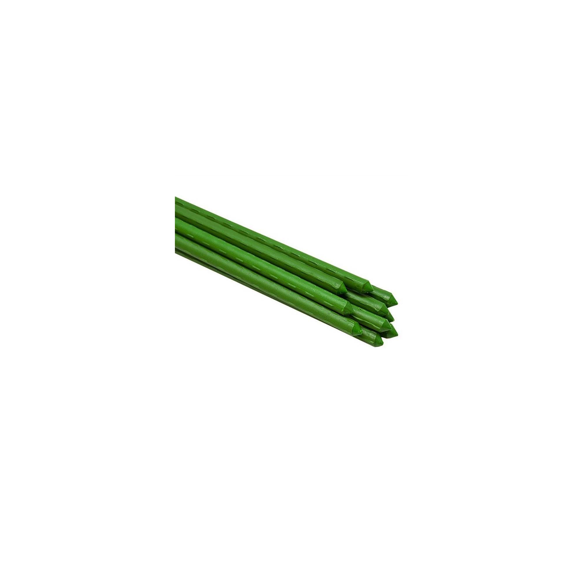Sans Marque - Lot de 10 tuteurs pour plantes et légumes - En fer - Hauteur : 120 cm - Image 1