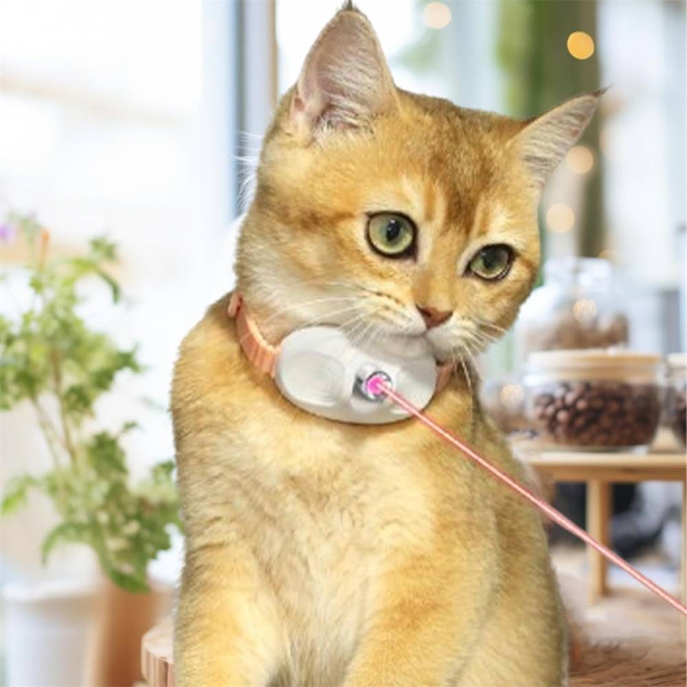 Collier pour chat(Rose) DtopbuyAge - Image 4