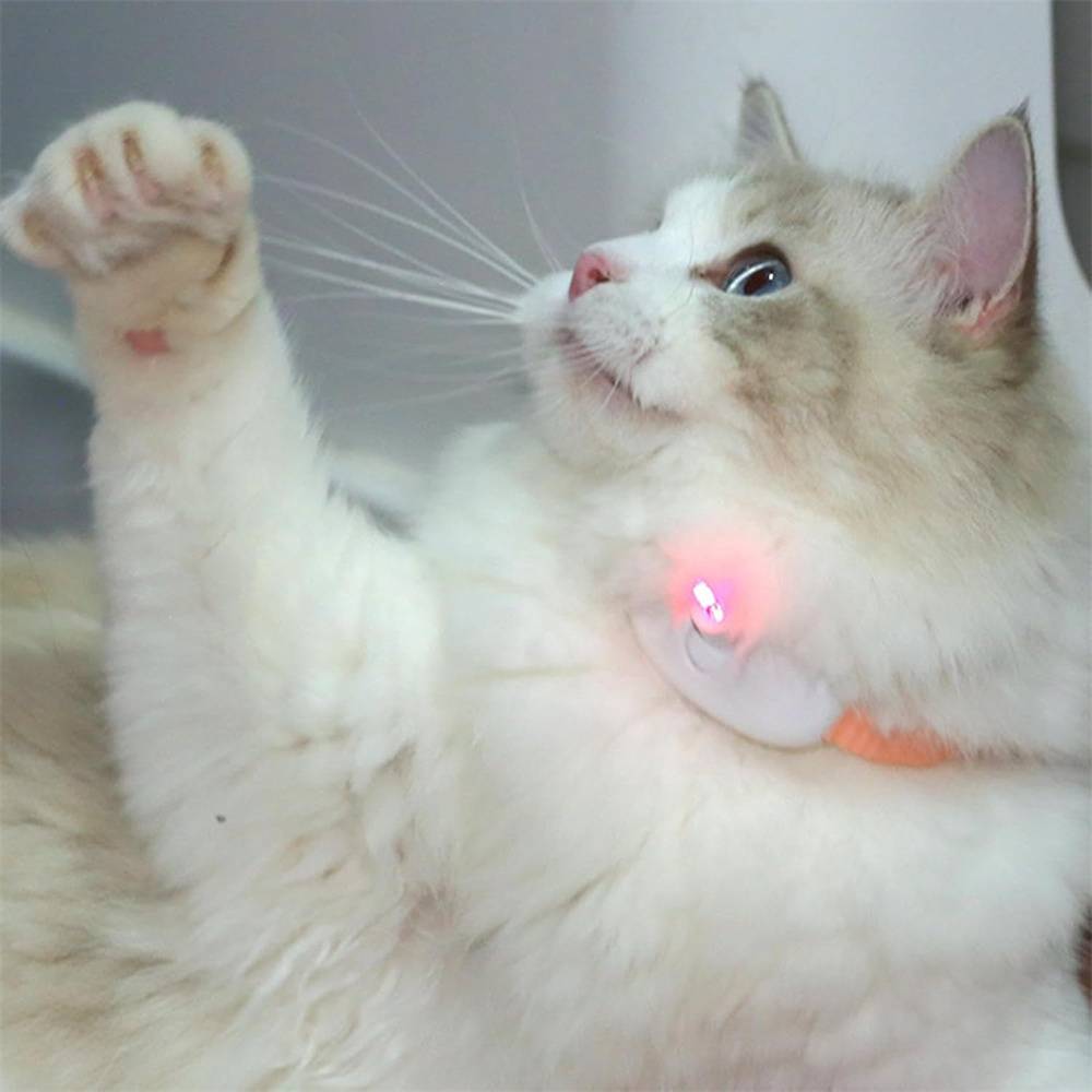 Collier pour chat(Rose) DtopbuyAge - Image 2