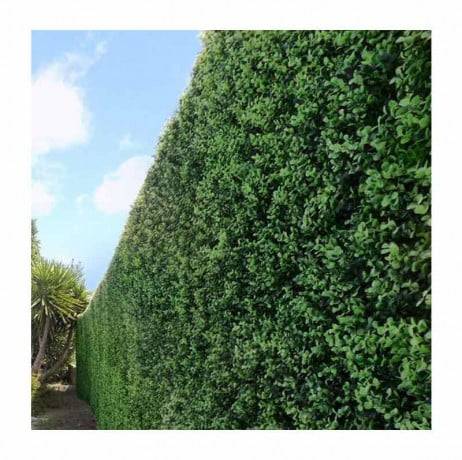 Feuillage artificiel Lentisque 1m x 1m, Long 15 m, Hauteur 1 m - Image 2