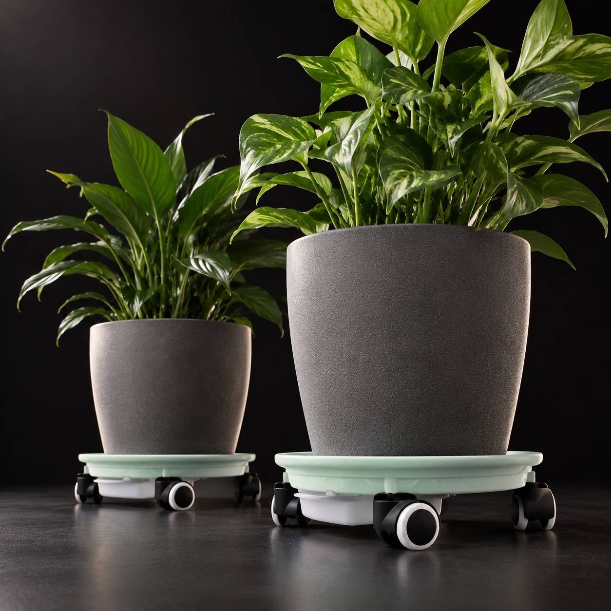 Support de Pot à Plantes Roulant avec Bac d'Eau pour Jardin - Image 6