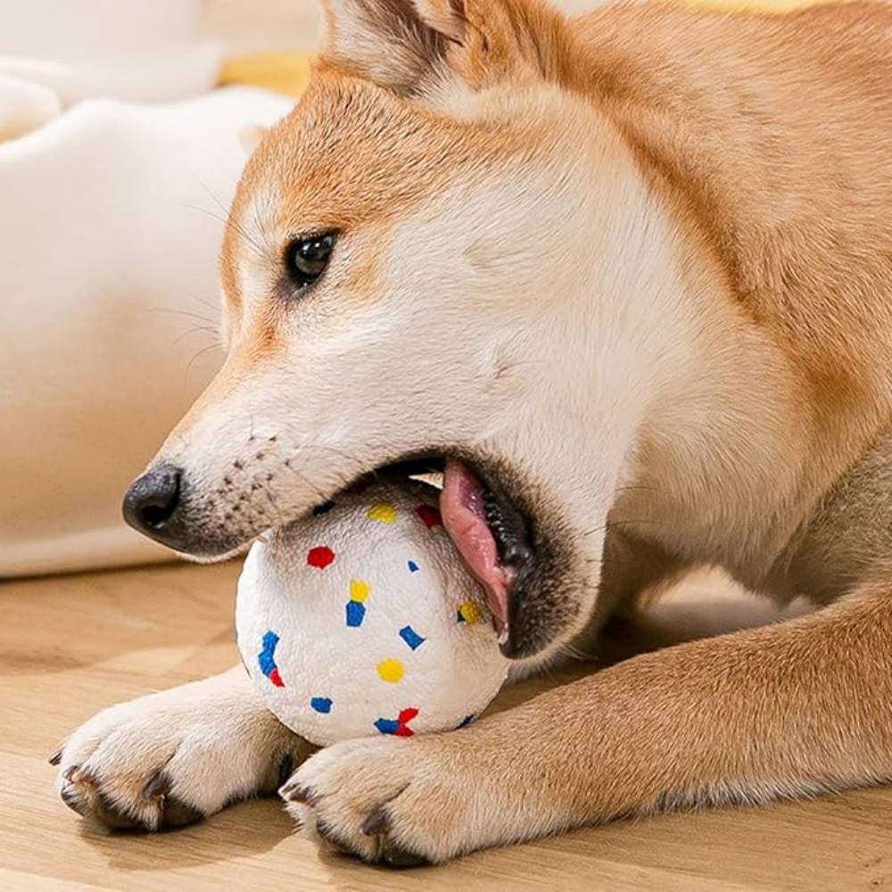 DtopbuyAge - Balles Indestructibles E-TPU Pour Moyens Et Grands Chiens - Image 4