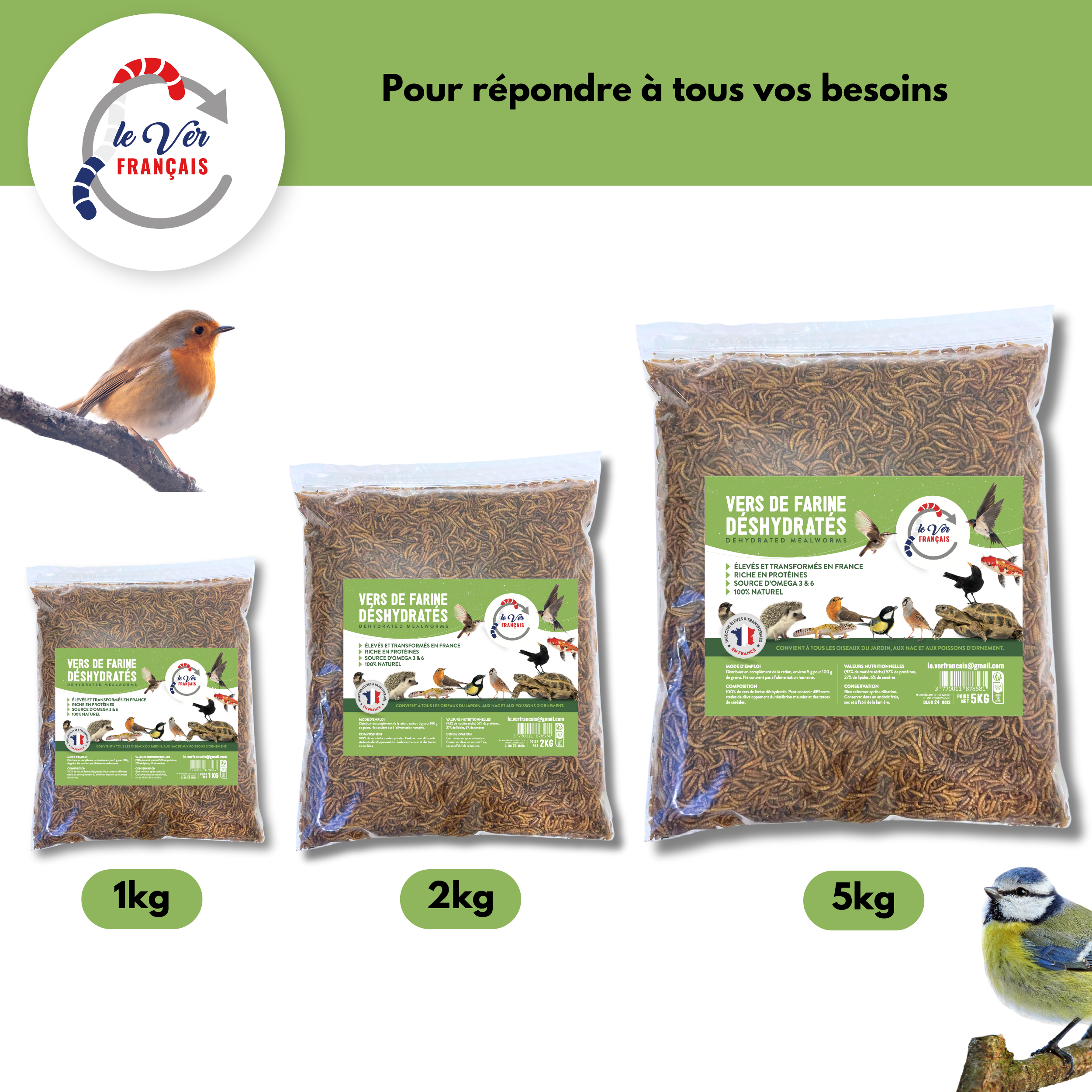 Vers de farine déshydratés 1kg - Le Ver Français - Image 3
