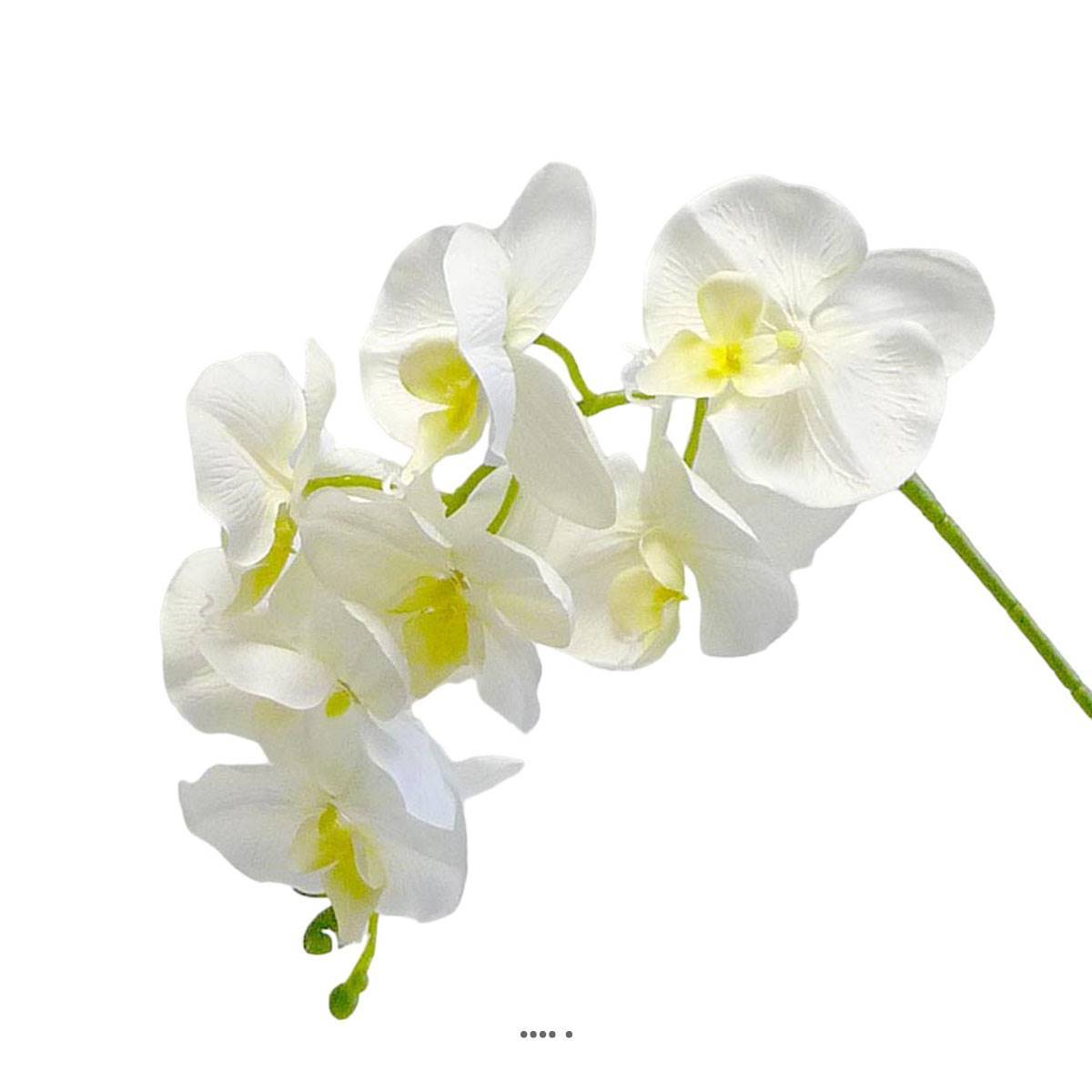 Artificielles - Orchidée Tao factice H105 cm 8 fleurons 5 boutons qualité Pro Crème - couleur: Crème - Image 2