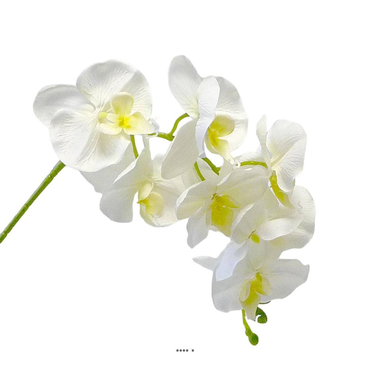 Artificielles - Orchidée Tao factice H105 cm 8 fleurons 5 boutons qualité Pro Crème - couleur: Crème - Image 1