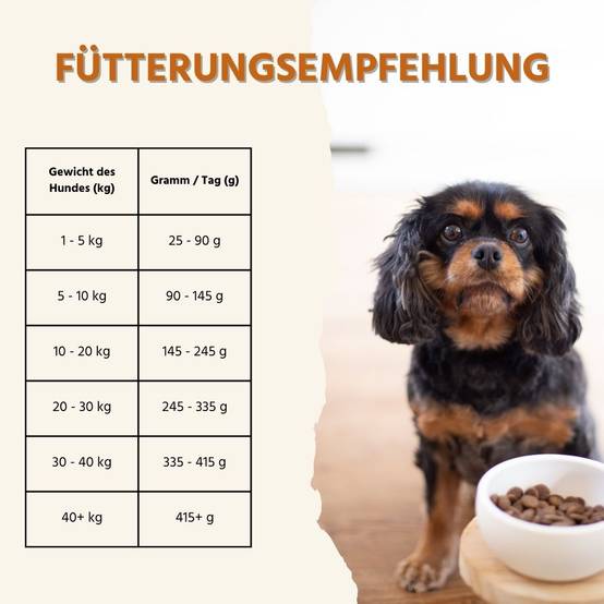 Wildfang - Wildfang — Croquettes sans céréales pour chien adulte, 50 % agneau, patate douce 23 %, hypoallergénique, haute qualité - Image 8