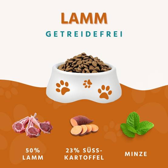 Wildfang - Wildfang — Croquettes sans céréales pour chien adulte, 50 % agneau, patate douce 23 %, hypoallergénique, haute qualité - Image 3