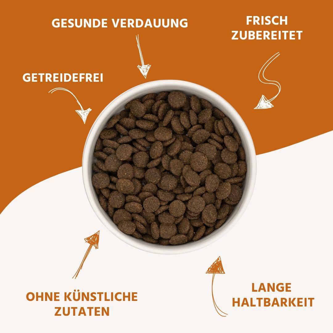 Wildfang - Wildfang — Croquettes sans céréales pour chien adulte, 50 % agneau, patate douce 23 %, hypoallergénique, haute qualité - Image 4