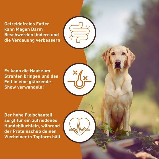 Wildfang - Wildfang — Croquettes sans céréales pour chien adulte, 50 % agneau, patate douce 23 %, hypoallergénique, haute qualité - Image 7