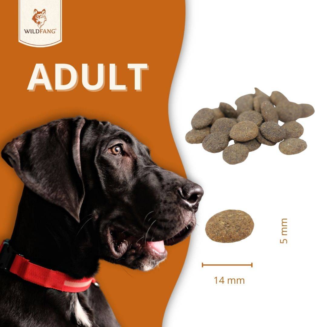 Wildfang - Wildfang — Croquettes sans céréales pour chien adulte, 50 % agneau, patate douce 23 %, hypoallergénique, haute qualité - Image 6