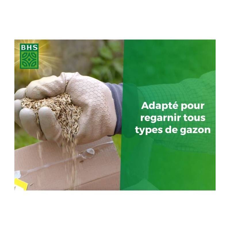 BHS - Gazon Regarnissage Terrain Sec - Bhs - 1kg | 40 M² | Résistant Et Durable, Avec Excellente Pérennité Et Tolérance Aux Piét - Image 3