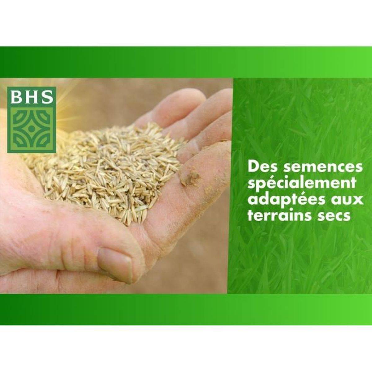 BHS - Gazon Regarnissage Terrain Sec - Bhs - 1kg | 40 M² | Résistant Et Durable, Avec Excellente Pérennité Et Tolérance Aux Piét - Image 8