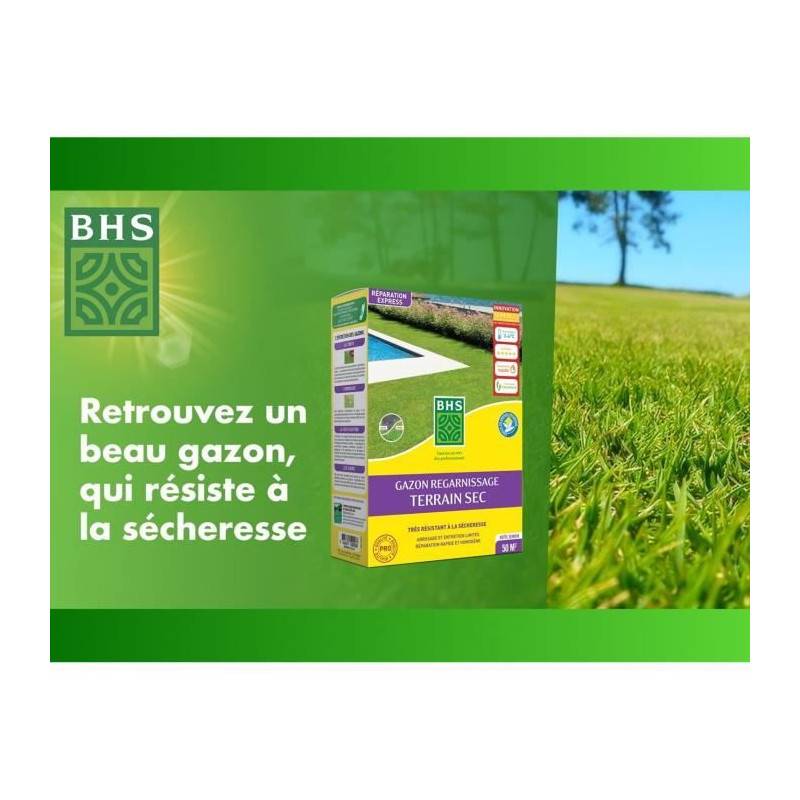 BHS - Gazon Regarnissage Terrain Sec - Bhs - 1kg | 40 M² | Résistant Et Durable, Avec Excellente Pérennité Et Tolérance Aux Piét - Image 2
