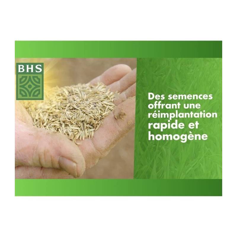 BHS - Gazon Regarnissage Terrain Sec - Bhs - 1kg | 40 M² | Résistant Et Durable, Avec Excellente Pérennité Et Tolérance Aux Piét - Image 6