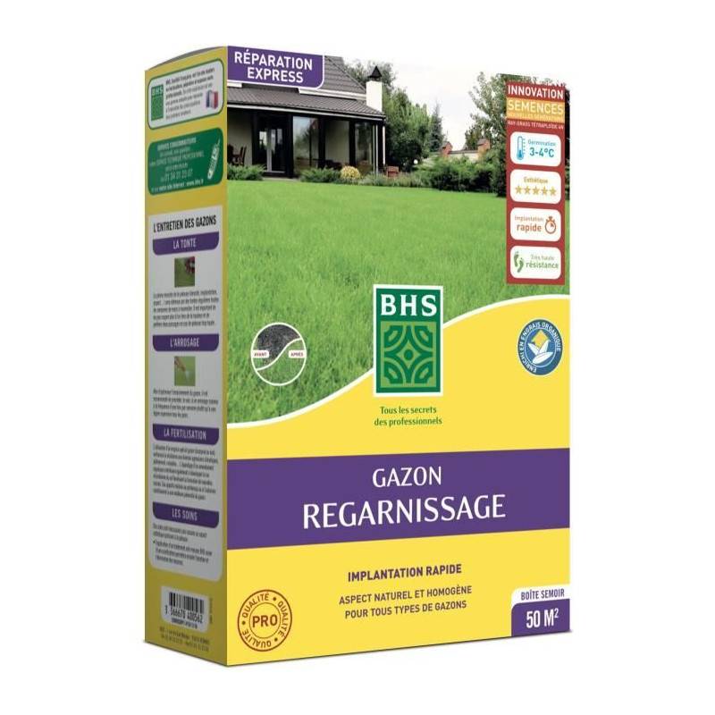 BHS - Gazon Regarnissage Terrain Sec - Bhs - 1kg | 40 M² | Résistant Et Durable, Avec Excellente Pérennité Et Tolérance Aux Piét - Image 1