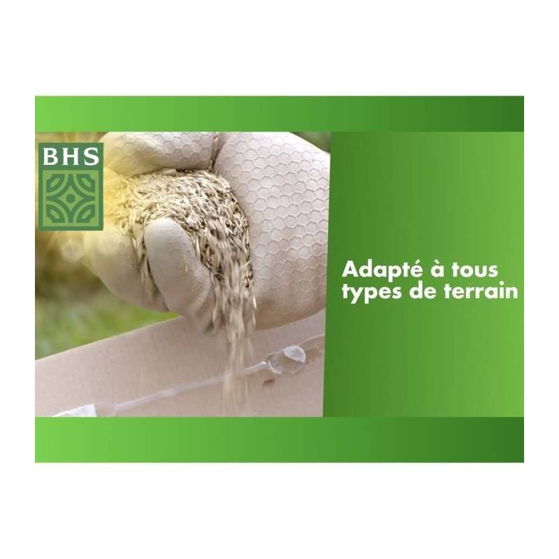 BHS - Gazon Regarnissage Terrain Sec - Bhs - 1kg | 40 M² | Résistant Et Durable, Avec Excellente Pérennité Et Tolérance Aux Piét - Image 5
