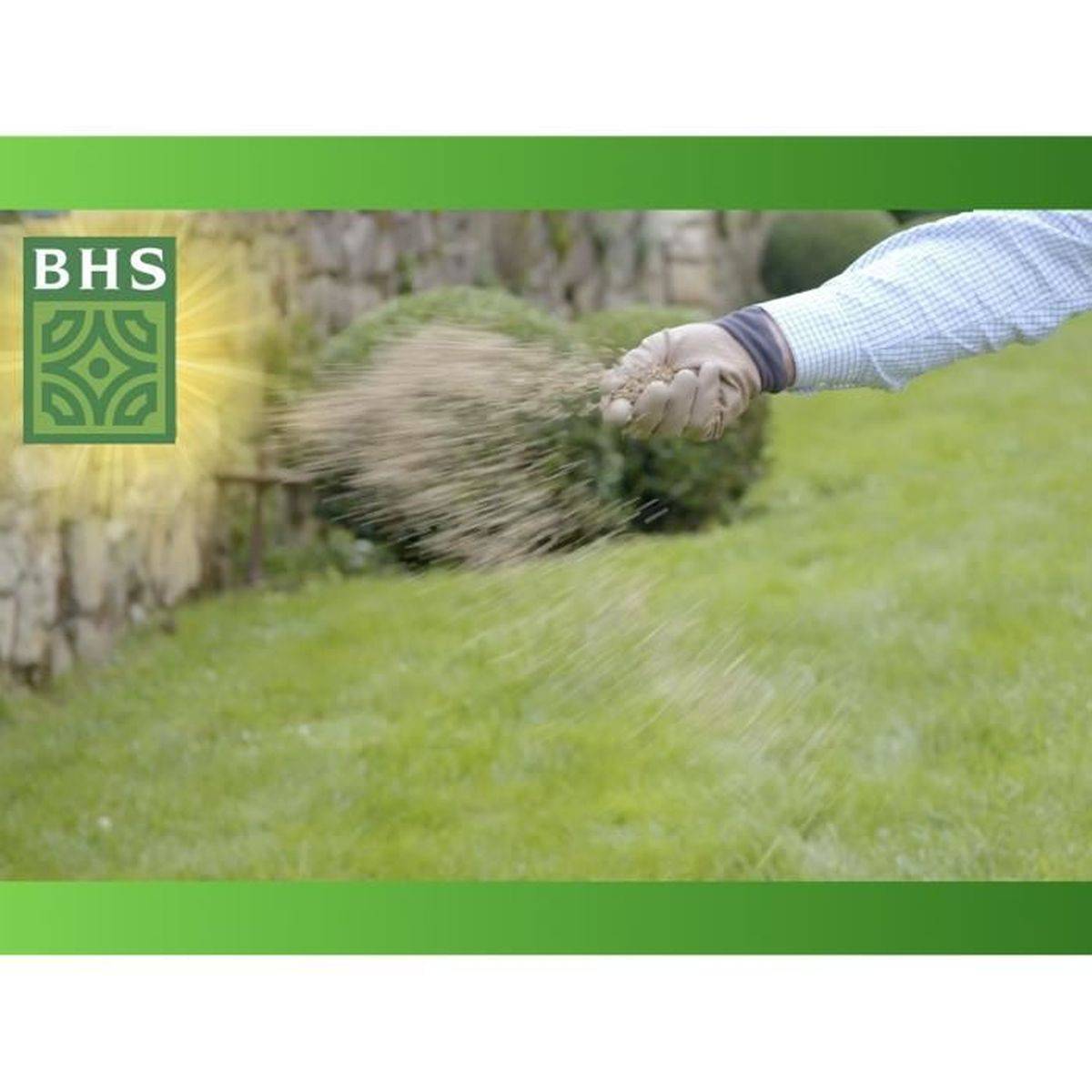 BHS - Gazon Regarnissage Terrain Sec - Bhs - 1kg | 40 M² | Résistant Et Durable, Avec Excellente Pérennité Et Tolérance Aux Piét - Image 7