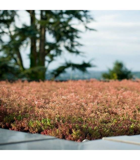 Terreau substrat toitures végétalisées spécial sedum Big bag 500 litres - Image 2