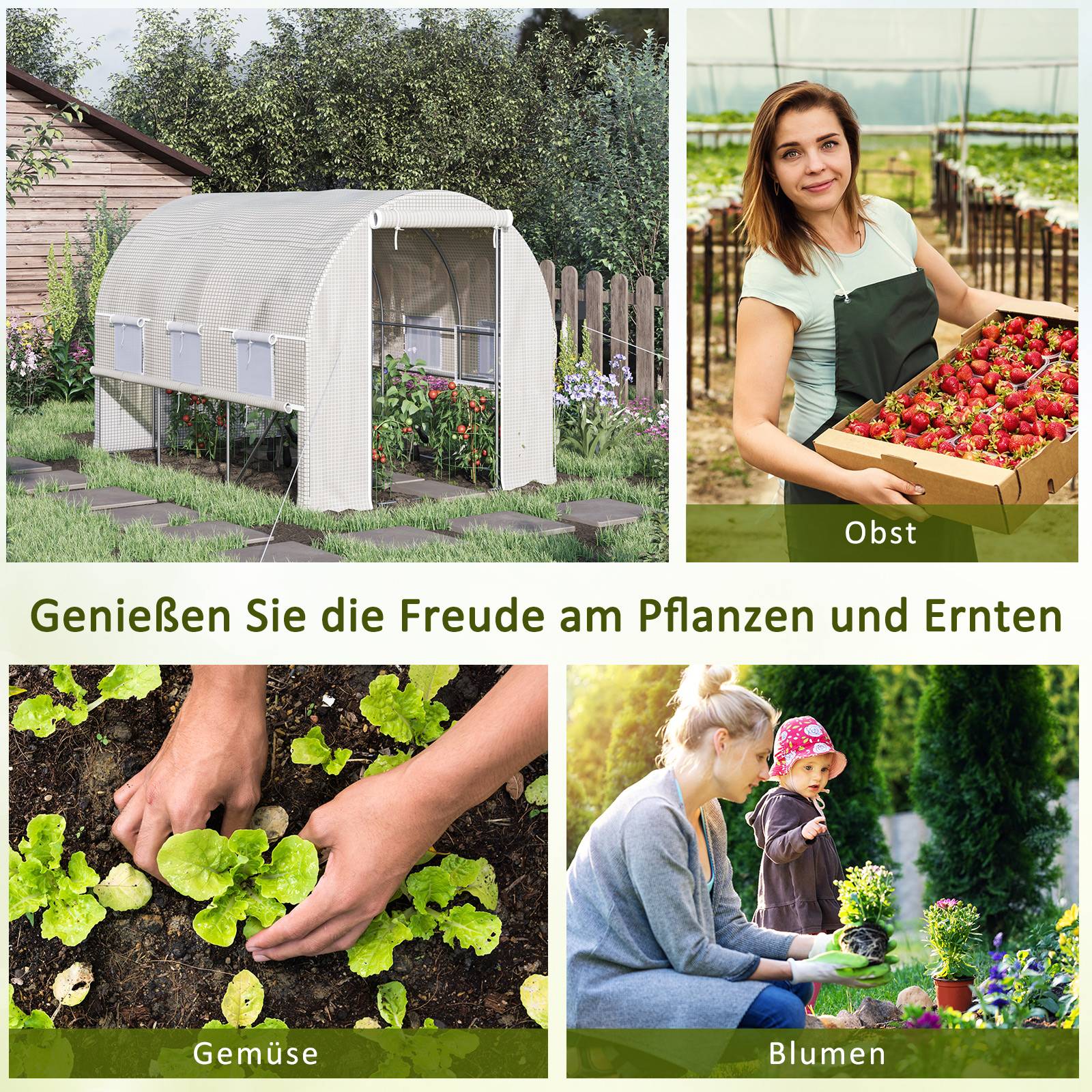 Sans Marque - Serre aluminium 6 fenêtres enroulables porte zippée acier inox 2,95x2x2 m serre jardin blanche robuste extérieure - Image 9