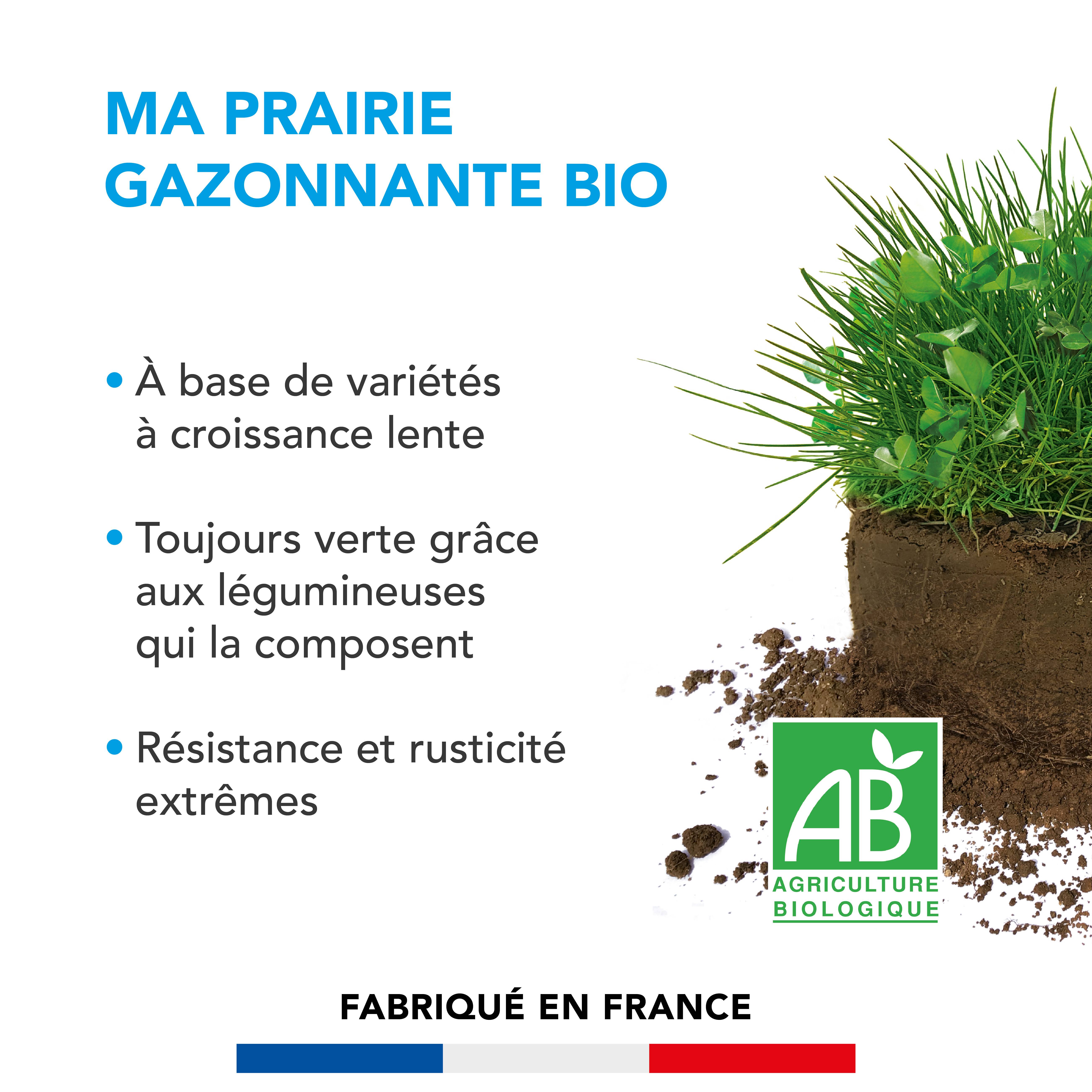 Barenbrug - Prairie Gazonnante - Variétés à Croissance Lente - Toujours Verte grâce aux Légumineuses - Résistance et Rusticité Extrêmes - 10KG - BARENBRUG - Image 2
