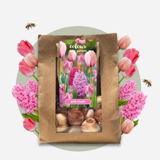 Plant In A Box - Mélange de bulbes pour le jardin - Set de 25 - Tulipa, Hyacinthus - Image 3