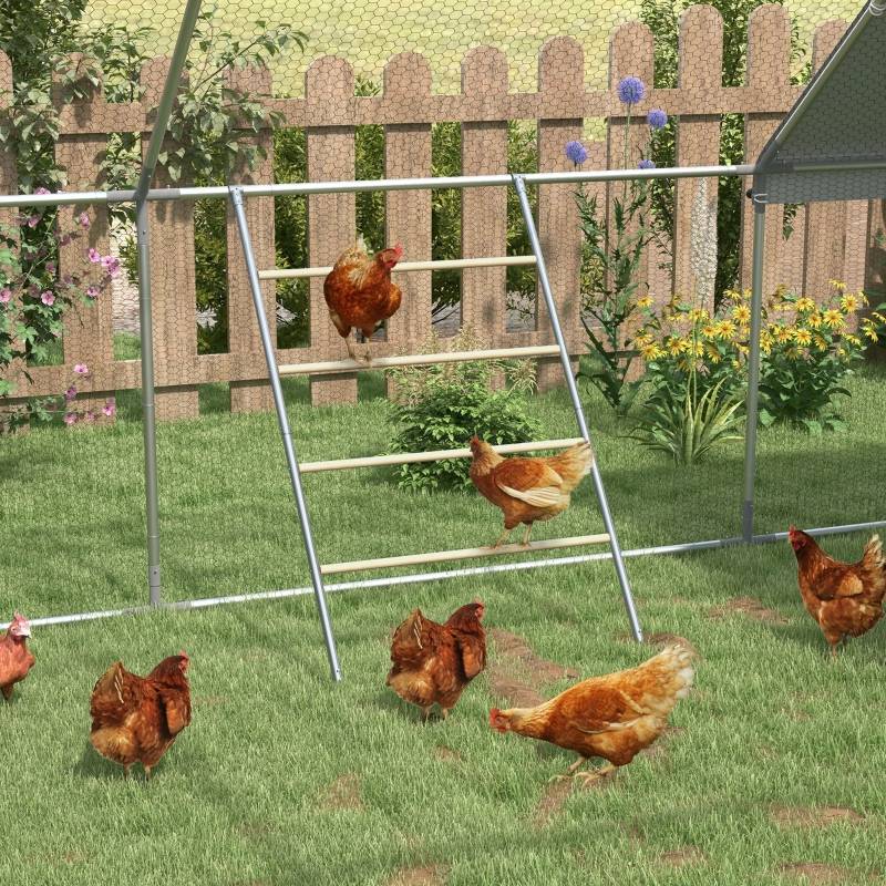 Perchoir Échelle Poules Acier Bois Repos Nocturne 4 Niveaux 140x86cm Naturel - ComfortXL Outdoor Living