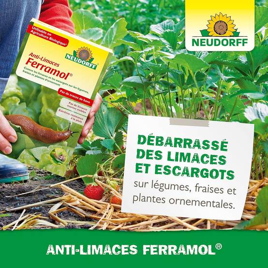 NEUDORFF - Anti-Limaces Ferramol | Protection contre les escargots dans jardin et potager. Approprié pour l'agriculture biologique et sans danger - Image 6