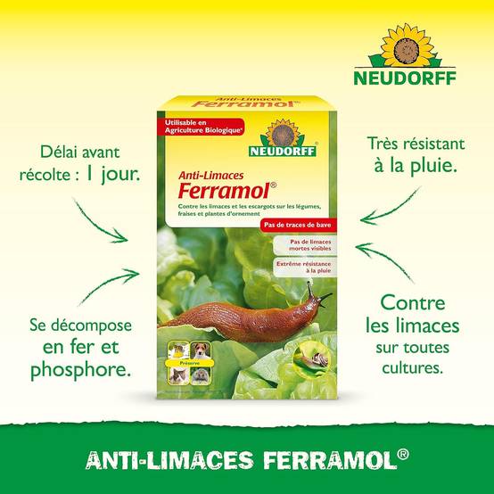 NEUDORFF - Anti-Limaces Ferramol | Protection contre les escargots dans jardin et potager. Approprié pour l'agriculture biologique et sans danger - Image 2