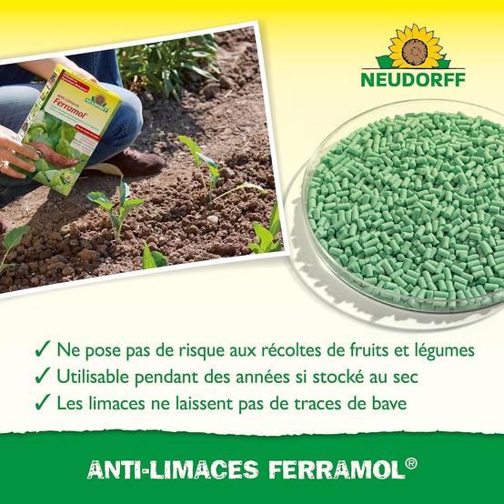 NEUDORFF - Anti-Limaces Ferramol | Protection contre les escargots dans jardin et potager. Approprié pour l'agriculture biologique et sans danger - Image 4