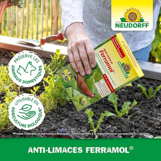 NEUDORFF - Anti-Limaces Ferramol | Protection contre les escargots dans jardin et potager. Approprié pour l'agriculture biologique et sans danger - Image 5