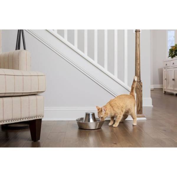 Petsafe - Fontaine pour Animaux - PETSAFE - SEASIDE - Inoxydable - 1,8 L - Silencieuse - Eau filtrée - Image 3