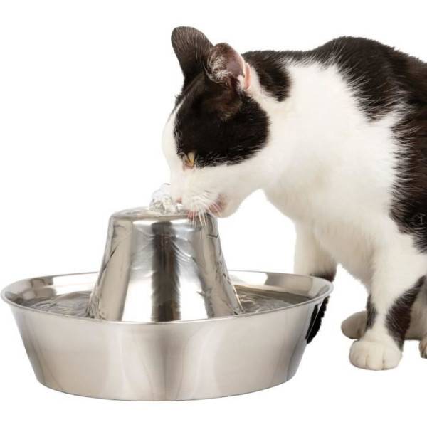 Petsafe - Fontaine pour Animaux - PETSAFE - SEASIDE - Inoxydable - 1,8 L - Silencieuse - Eau filtrée - Image 1